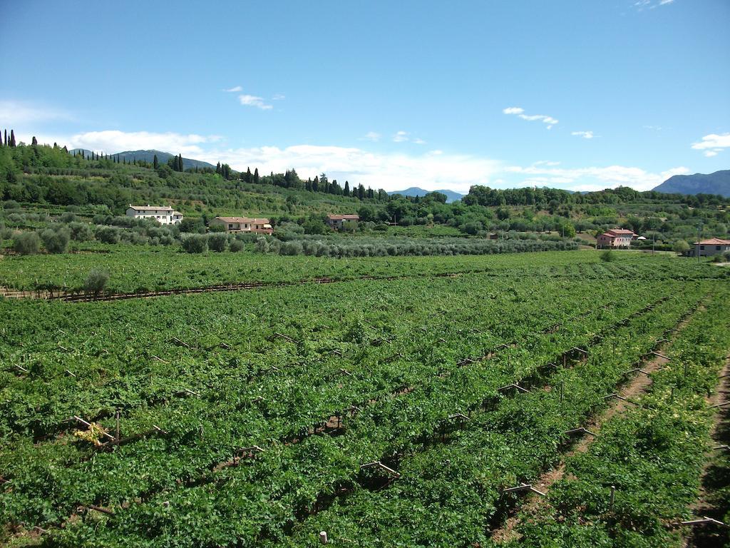 Agriturismo La Rocca Bardolino Exterior foto