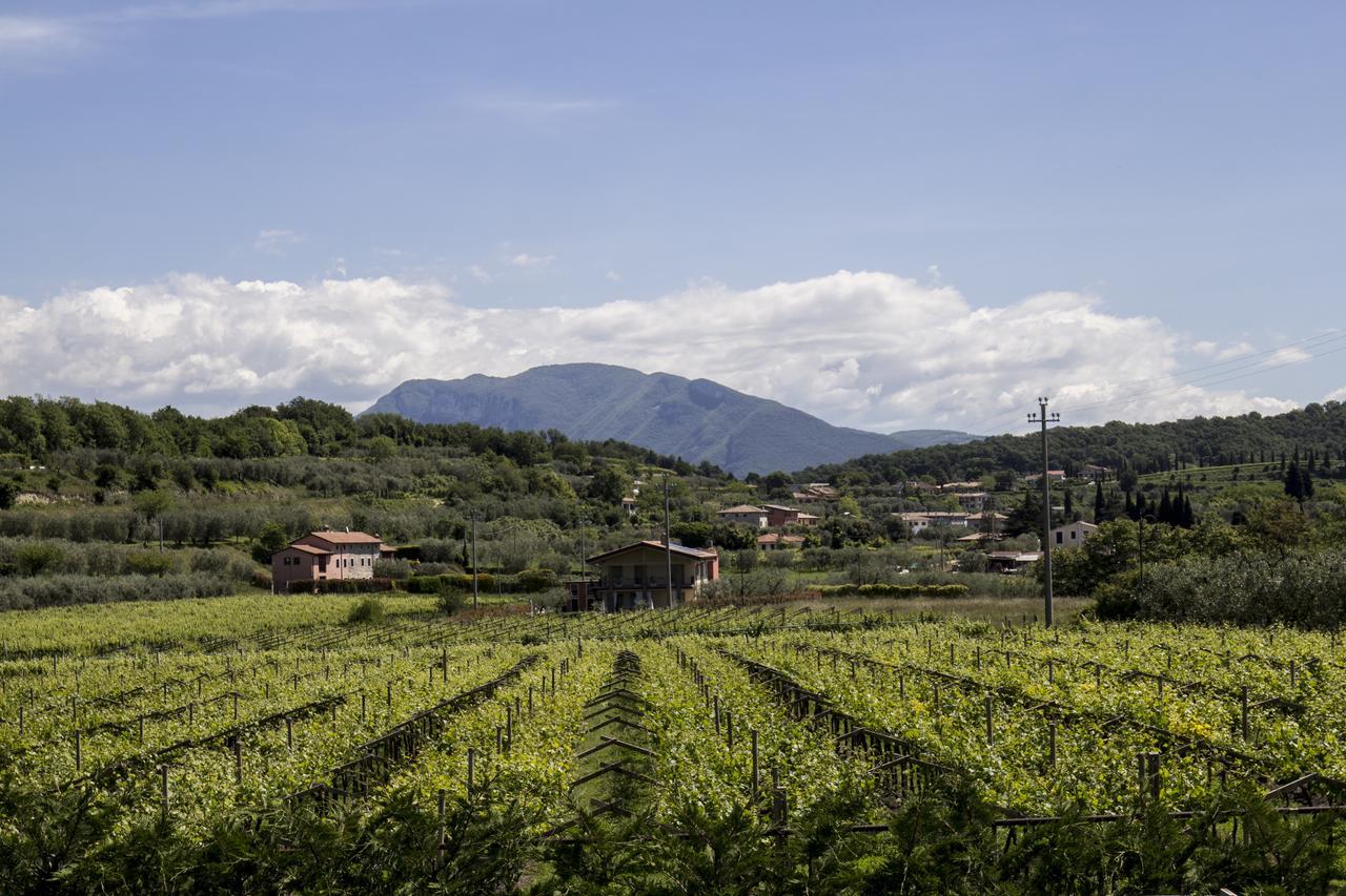 Agriturismo La Rocca Bardolino Exterior foto